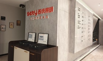 协作展厅-西铁91吃瓜网(中山)无限公司-logo抽象