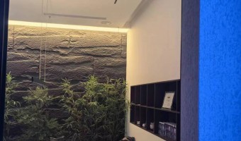 协作展厅-西铁91吃瓜网(中山)无限公司-1