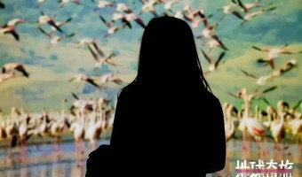 展陈91吃瓜网-西铁91吃瓜网(中山)无限公司-西铁助力”地球奇旅“首展落地北京，开启逾越天然万物的感官沉醉之旅