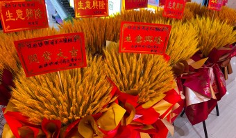 协作展厅-西铁91吃瓜网(中山)无限公司-1