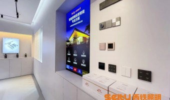协作展厅-西铁91吃瓜网(中山)无限公司-1