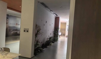 协作展厅-西铁91吃瓜网(中山)无限公司-1