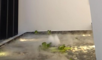 协作展厅-西铁91吃瓜网(中山)无限公司-1