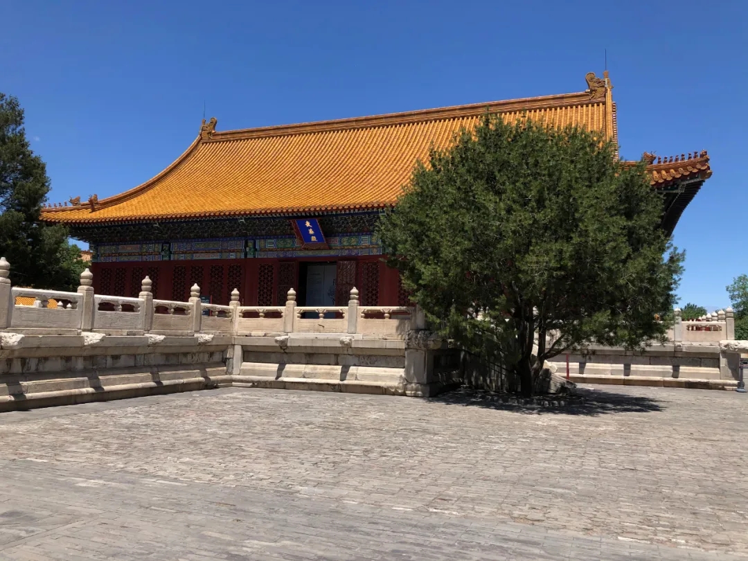 14.webp (1).jpg